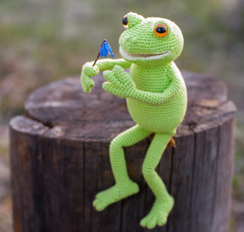 Funny Frog Crochet Pattern