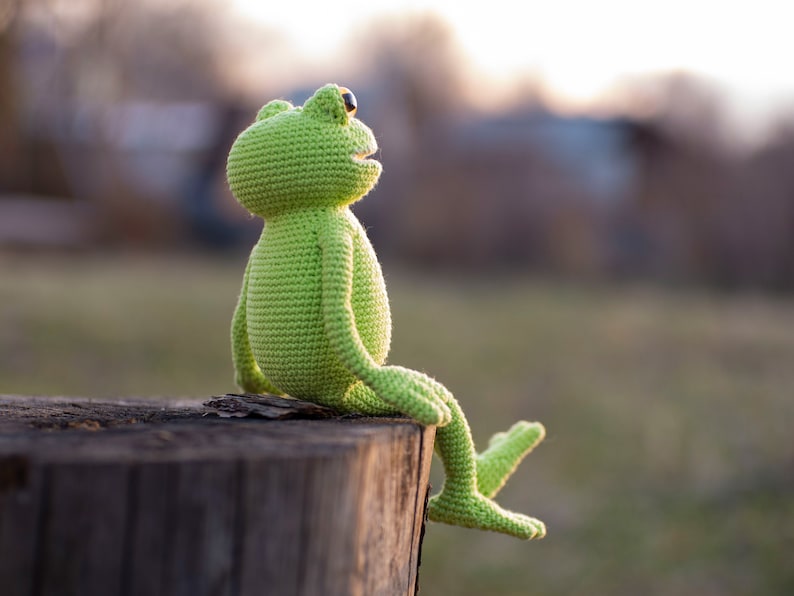 Funny Frog Crochet Pattern