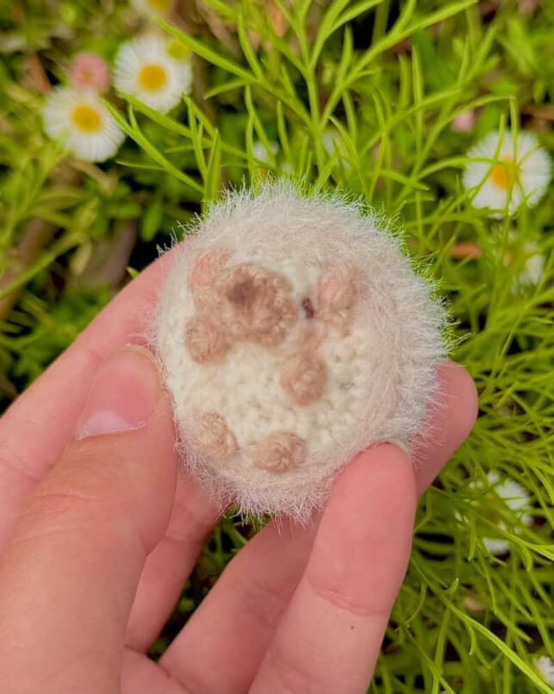 Cute Hedgehog Crochet Pattern