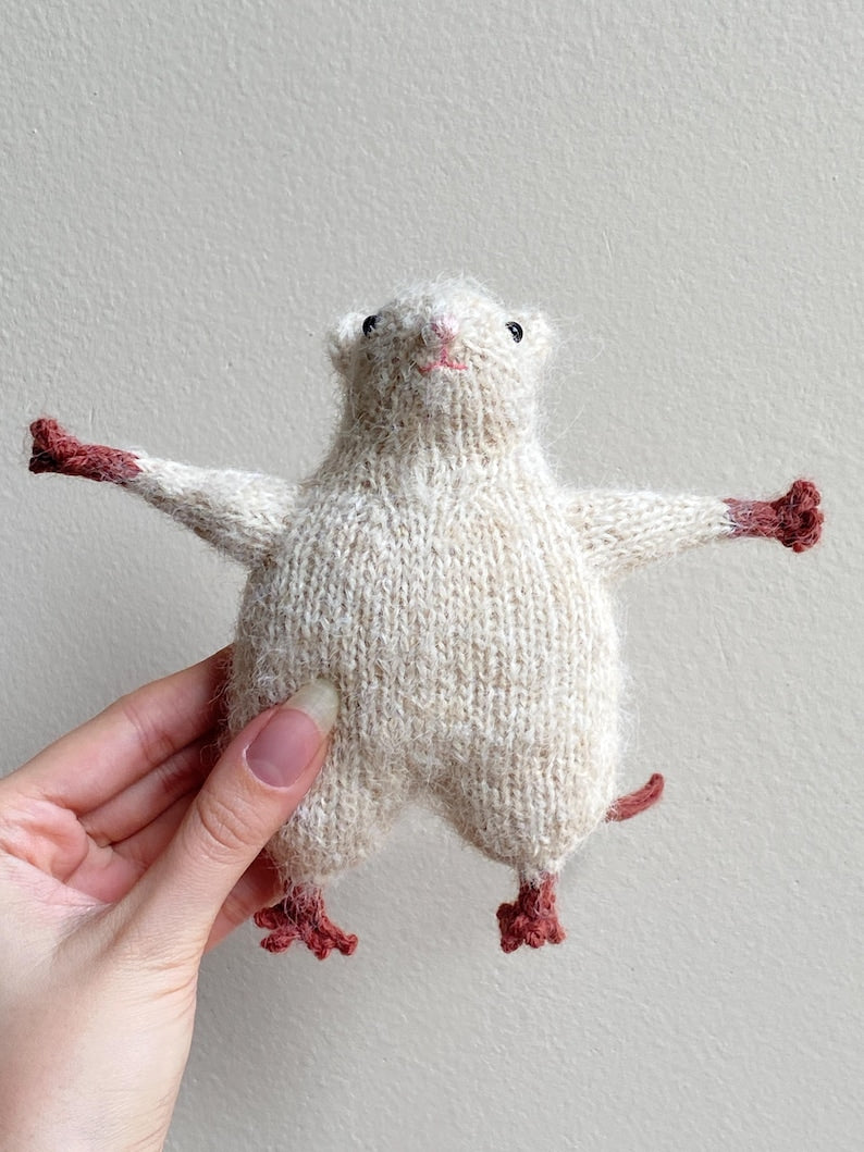 Rat Friend Knitting Pattern