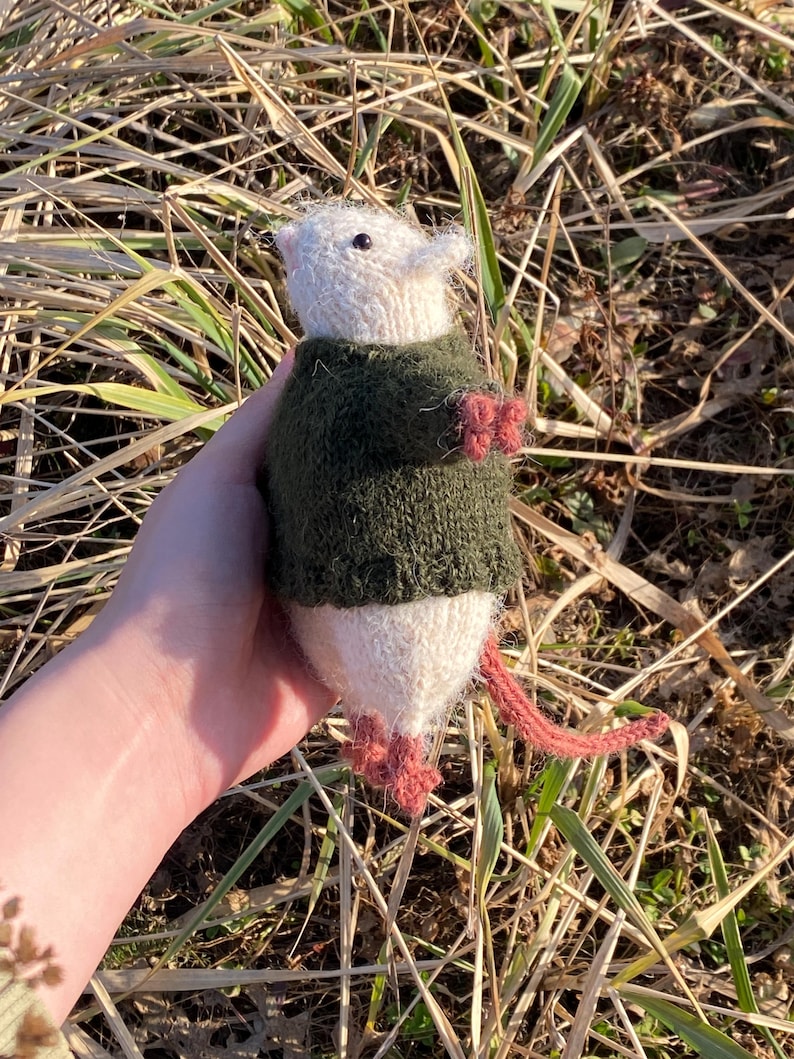 Rat Friend Knitting Pattern