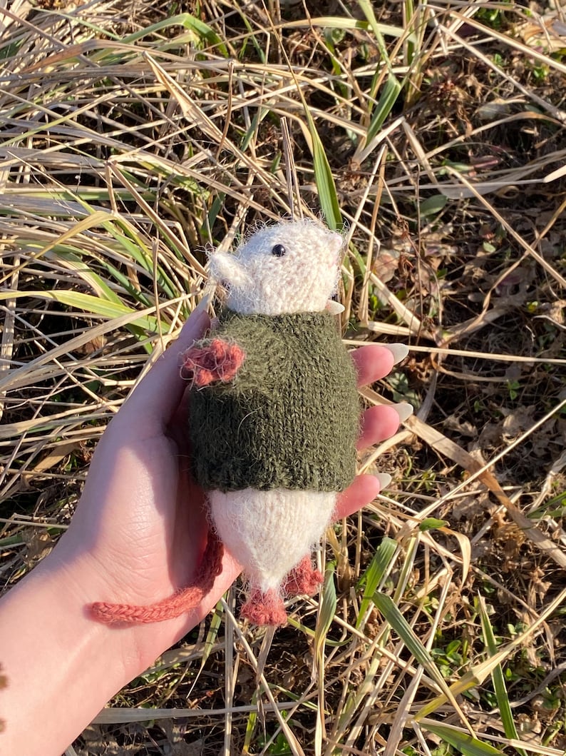 Rat Friend Knitting Pattern
