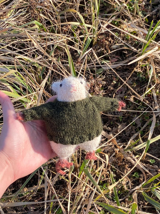 Rat Friend Knitting Pattern
