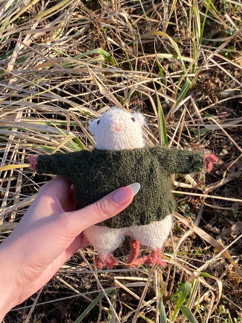 Rat Friend Knitting Pattern